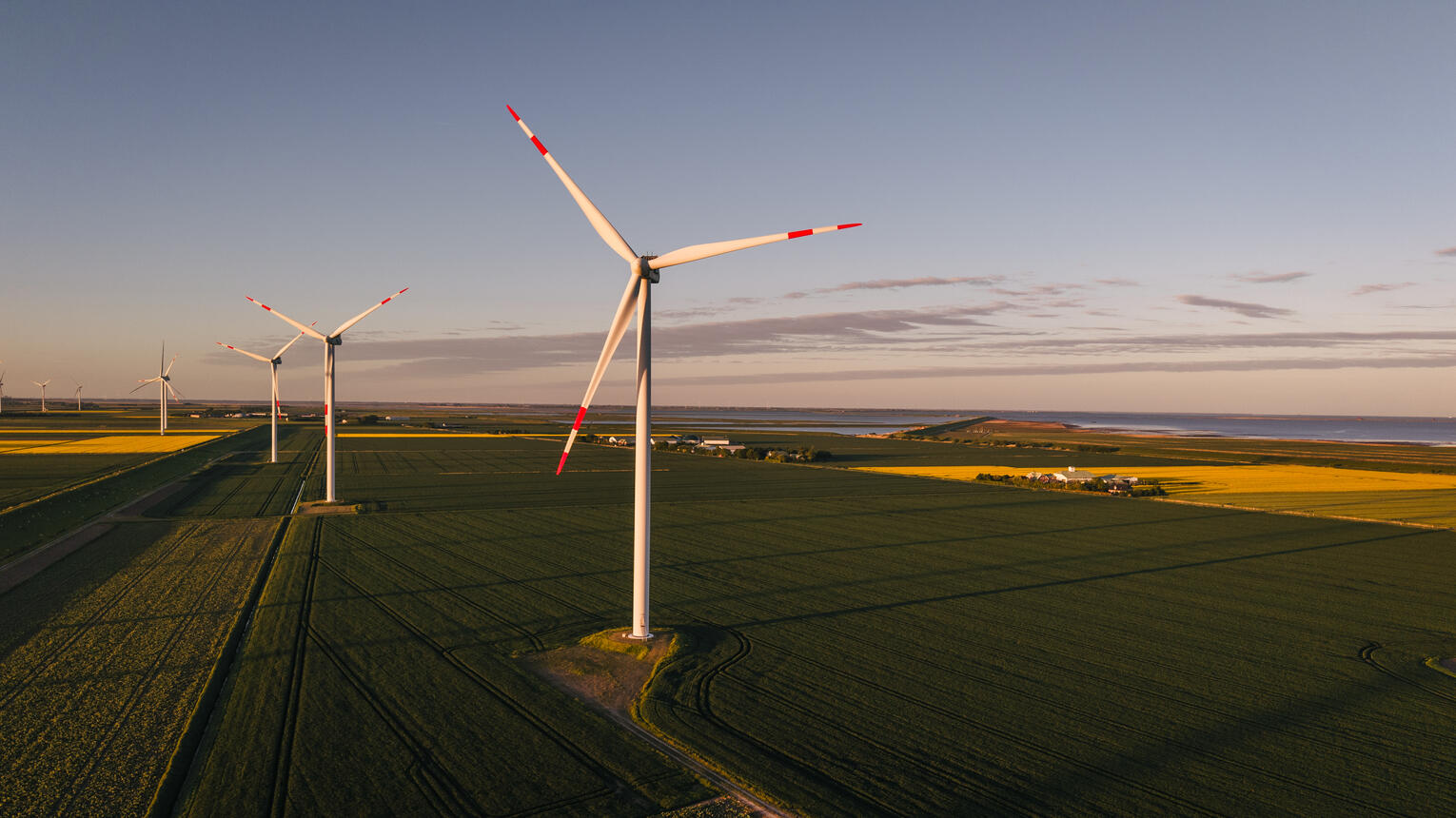 Windräder inmitten blühender Felder bei warmem Licht, im Hintergrund das Meer.