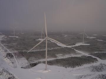 Ein verschneiter Wald mit Windrädern.