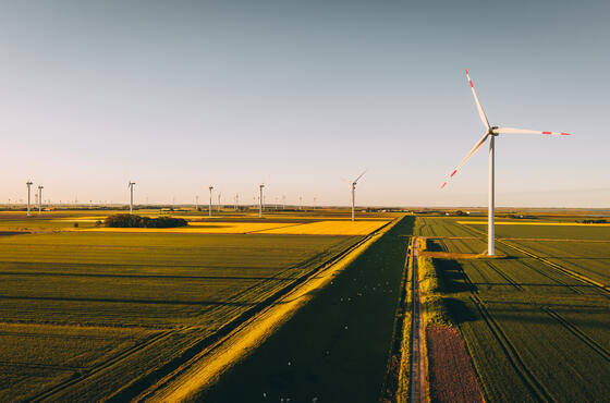 Ein Windpark an einer Straße inmitten blühender Rapsfelder.