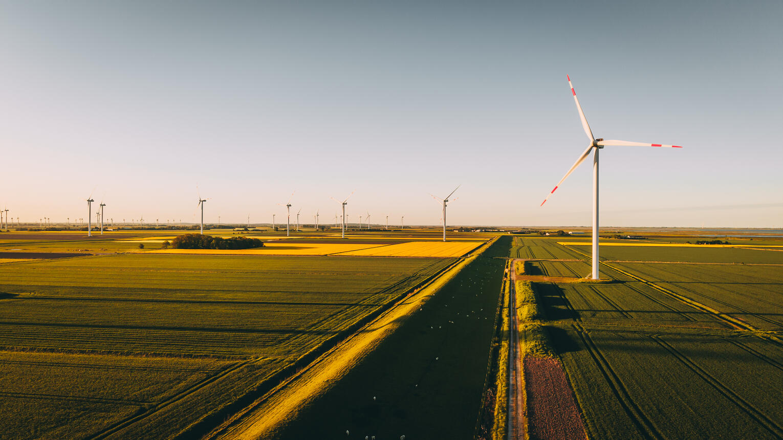 Ein Windpark an einer Straße inmitten blühender Rapsfelder.