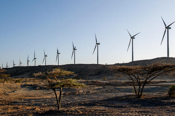 Eine ordentliche Reihe von Windrädern in einer trockenen, afrikanischen Landschaft unter blauem Himmel.