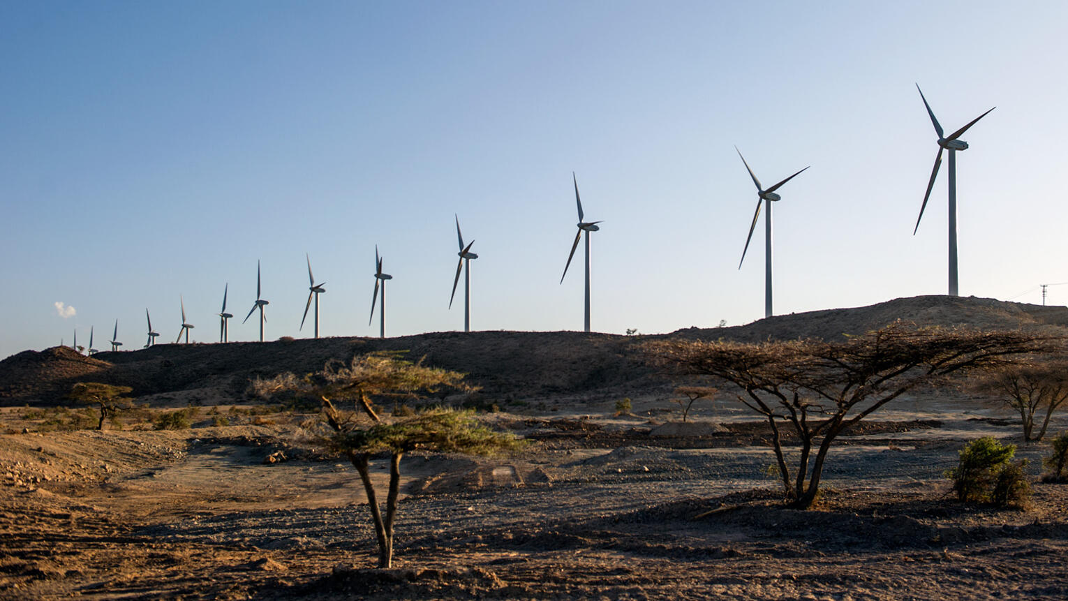 Eine ordentliche Reihe von Windrädern in einer trockenen, afrikanischen Landschaft unter blauem Himmel.