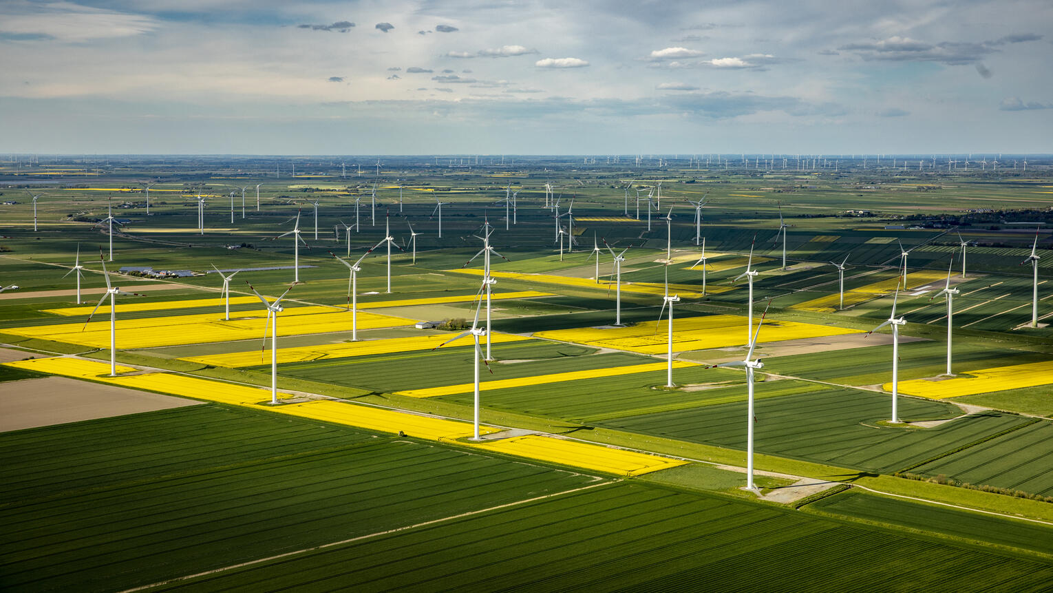 Luftaufnahme des Dirkshofs und des umgebenden Windparks inmitten blühender grüner und gelber Felder, aus einer seitlichen Perspektive.