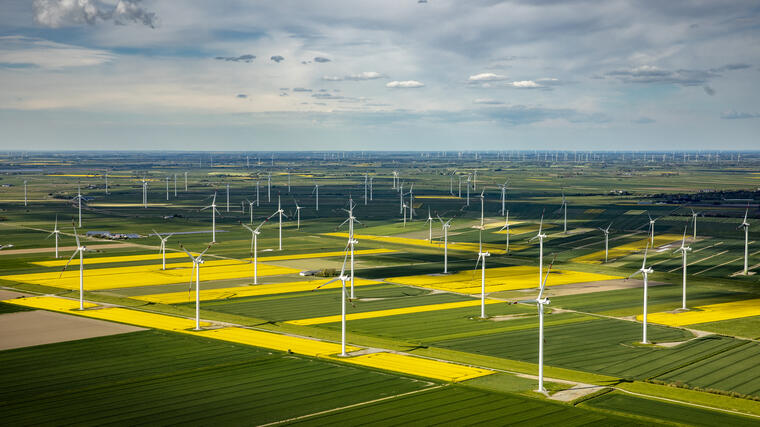Luftaufnahme des Dirkshofs und des umgebenden Windparks inmitten blühender grüner und gelber Felder, aus einer seitlichen Perspektive.