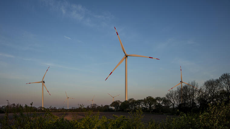 Mehrere weiße Windräder mit roten Streifen an den Rotorblättern stehen auf goldgelben Feldern, im Vordergrund Bäume.