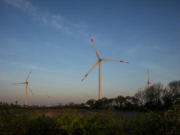 Mehrere weiße Windräder mit roten Streifen an den Rotorblättern stehen auf goldgelben Feldern, im Vordergrund Bäume.