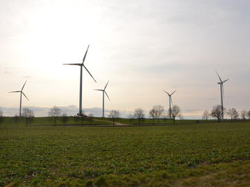 Windräder inmitten von grünen Wiesen, im Hintergrund steigt das Land sanft an.